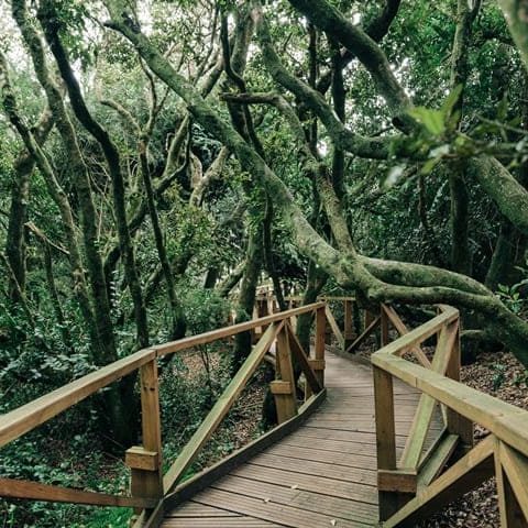 Parque Nacional Fray Jorge