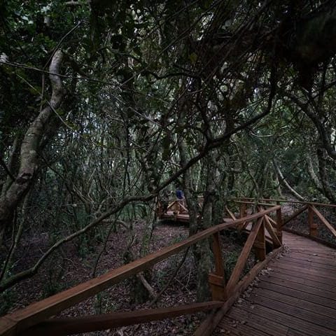 Parque Nacional Fray Jorge